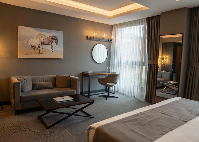 Hotel On7 Sakarya (Marmara)